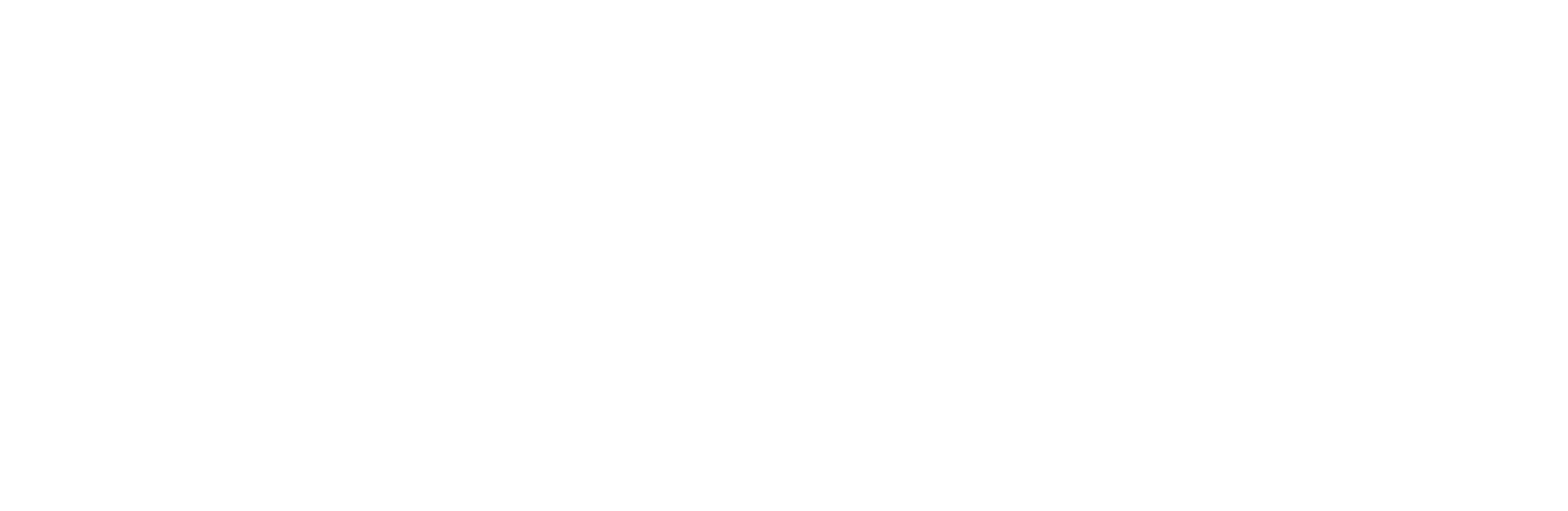 Sennebogen-White-Logo
