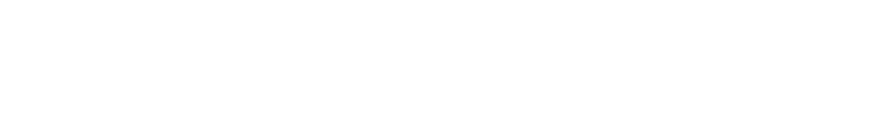 Ammannlogo-white-transparent